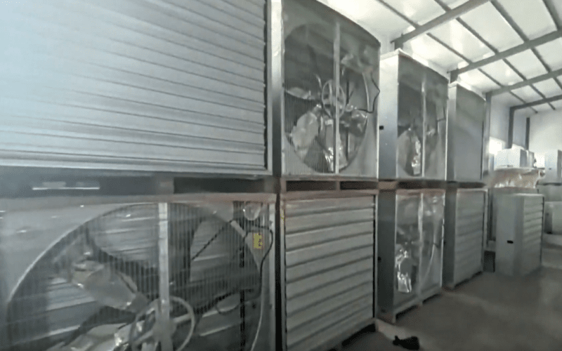 Ventilador de pressão negativa para gado em chapa galvanizada 1380
